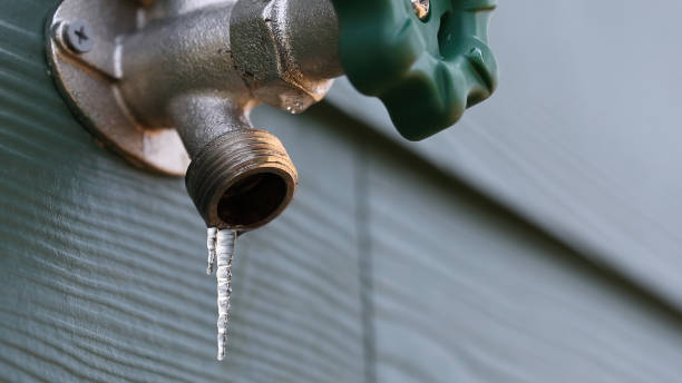 Best Plumbing Services Near Me  in Grafton, WV